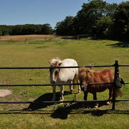 Haus Friesenglueck Seepferdchen Apartament